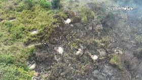 Y日燒十七場1400.