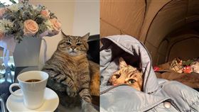 Stepan。（圖／翻攝自《loveyoustepan》IG）