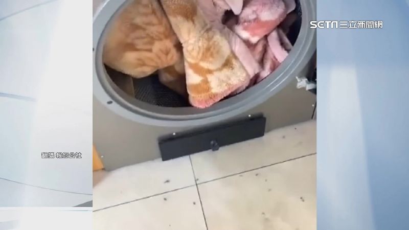 厚毯沒脫水就拿去烘　自助烘衣機險壞
