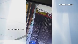 偷鳥賊出沒中壢！「藍和尚」遭抓走