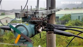 高雄,停電,大社,鳳山,台電