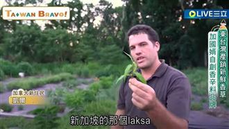 加拿大台灣女婿　堅持無毒栽種辛香料