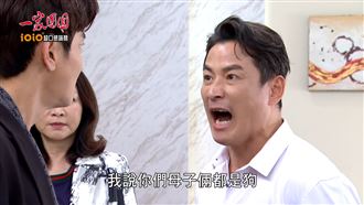 8點檔撞梗華燈　他被罵狗痛毆公子哥