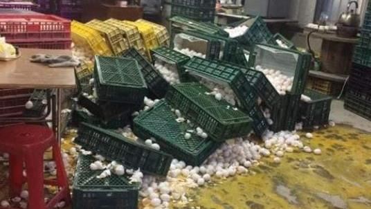 強震災情？網傳千顆蛋翻倒…蛋流成河