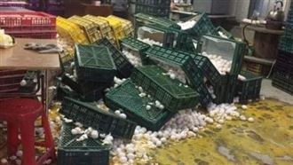 強震災情？網傳千顆蛋翻倒…蛋流成河