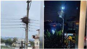停電,電線桿,鳥巢,樓中樓,台電（圖／翻攝自「爆怨2公社」