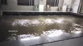 魚蝦也嚇翻！6.6地震花東超有感　魚池、釣蝦場劇烈搖晃