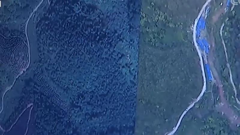 東航空難對比照曝光　植被變焦黑慘禿