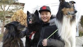 金民教所飼養大型犬因咬死人遭到判刑。（圖／翻攝自minkyocool IG）