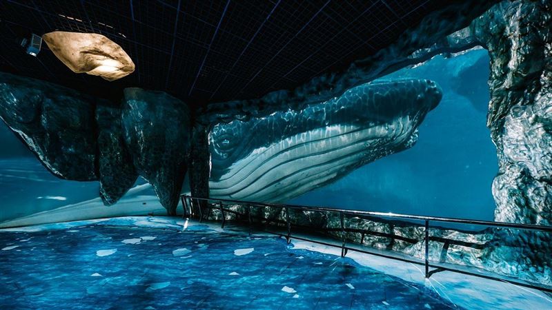 國旅券還沒用？旅遊平台買千送兩千