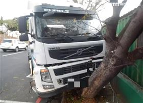 台中砂石車撞路樹　肇因竟是為一隻蟻（圖／翻攝畫面）