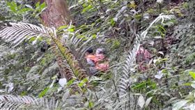 臉書「肉腳登山隊」