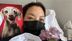 楊紫瓊確診。（圖／翻攝自楊紫瓊臉書）