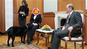 天下文化出版提供＋翻攝自@danbbaer推特＋澤倫斯基推IG＋梅克爾IG