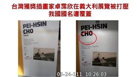 插畫家,義大利,Taiwan,國名,打壓 (圖/翻攝自立院隨選視訊系統)