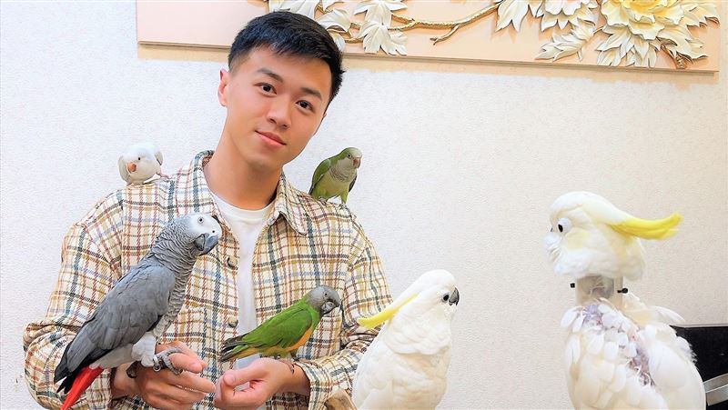 「鳥嘴」被剪掉　男星護鳥心切崩潰了