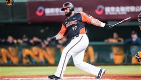 ▲統一獅Wilin Rosario（羅薩）。（圖／統一獅球團提供）