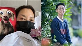 楊紫瓊確診。（圖／翻攝自楊紫瓊臉書）/劉敬（圖／Netflix、百聿數碼提供）