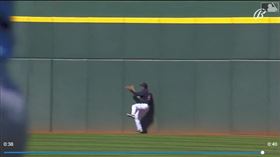 ▲守護者中外野手撞牆接殺美技。（圖／翻攝自MLB官網）