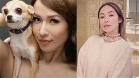 （圖／翻攝自蕭亞軒IG）