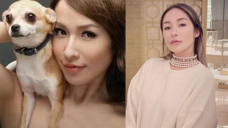 被狗咬破相　蕭亞軒罕露面曝悲傷近況