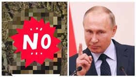 ▲東北虎、俄羅斯總統普丁（示意圖／翻攝自Pixabay、普丁臉書）