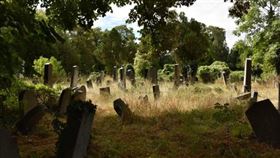 掃墓,墓園,屍體,墓地(圖/PIXABAY)