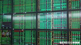 台股大跌600點 交易所 台股綠油油 號子 （圖／記者戴玉翔攝影）