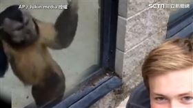 ▲▼。（圖／AP／Jukin media 授權）