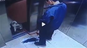 安徽小孩虐狗（圖／翻攝自沸點視頻微博）