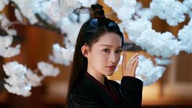 《錦繡南歌》找來李沁和秦昊主演。（圖／中視提供）
