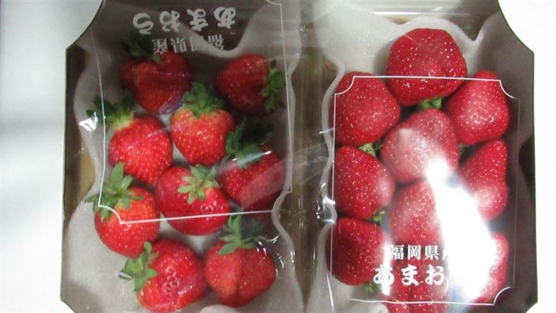 日本草莓又9批出包　食藥署發函日方