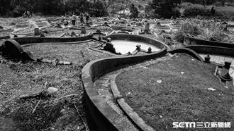 不是家鄉太遠 清明一票人「1原因」沒掃墓