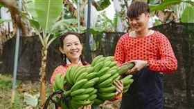 許富凱，曾之喬，曾寶儀。(圖／三立電視提供)