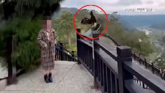 拍美照突飛來老鷹！正妹慘被抓破頭皮