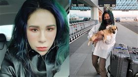 丹妮婊姐,航空,網紅,道歉(翻攝自 丹妮婊姐 臉書)