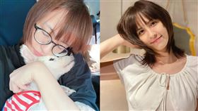 魏蔓14年又4個月的愛犬Puki病逝。（圖／翻攝自魏蔓臉書）