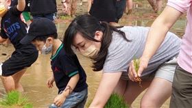 前立委呂孫綾宣布退出新北市第一選區議員初選（圖／翻攝自臉書）