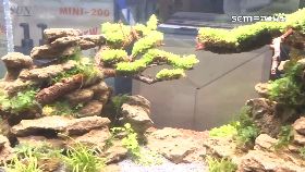 文 淘寶木被罰1200