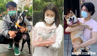 毛小孩最佳助選員　上街拜票超人氣