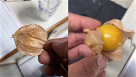 燈籠果,黃金莓,台灣,價格