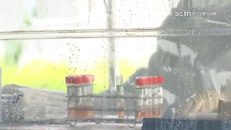 基隆類普篩斷傳播　學者揭3重點必做