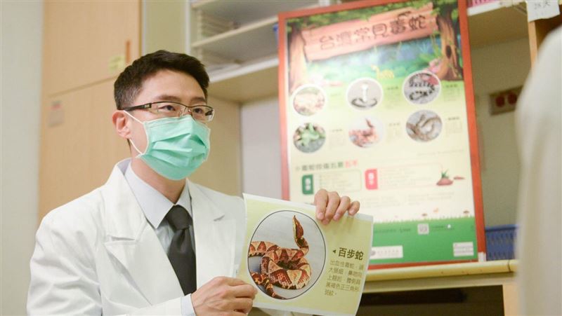 清明連假掃墓春遊　蛇也結束冬眠了