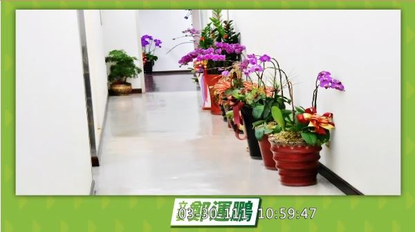 綠委提修法禁公務員送禮給民代