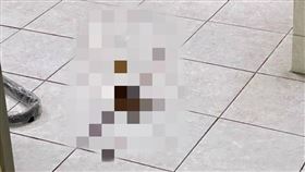 台南,偵查隊長,蔡志成,脱糞,申誡,