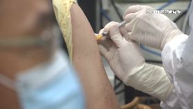 A催三四劑苗1700