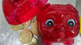 結紮,老婆,存錢,豬公,淒涼