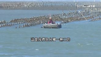 嘉義東石烤蚵吃到飽！搭船遊外傘頂洲