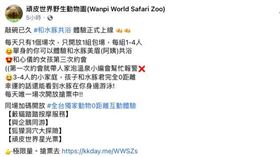 台南,頑皮世界,愚人節,水豚,共浴,限量