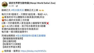 頑皮世界超萌水豚共浴！網瘋搶全哭了
